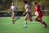 Hockey 2. Bundesliga Damen Bremer HC vs BTHV Das Spiel endet 2:!