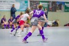 1. Hockey Hallen Bundesliga Damen 
BTHV vs CHTC 6:3