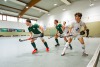 2. Hockey Hallen Bundesliga HerrenBTHV v BZHVs HCE99 11:5